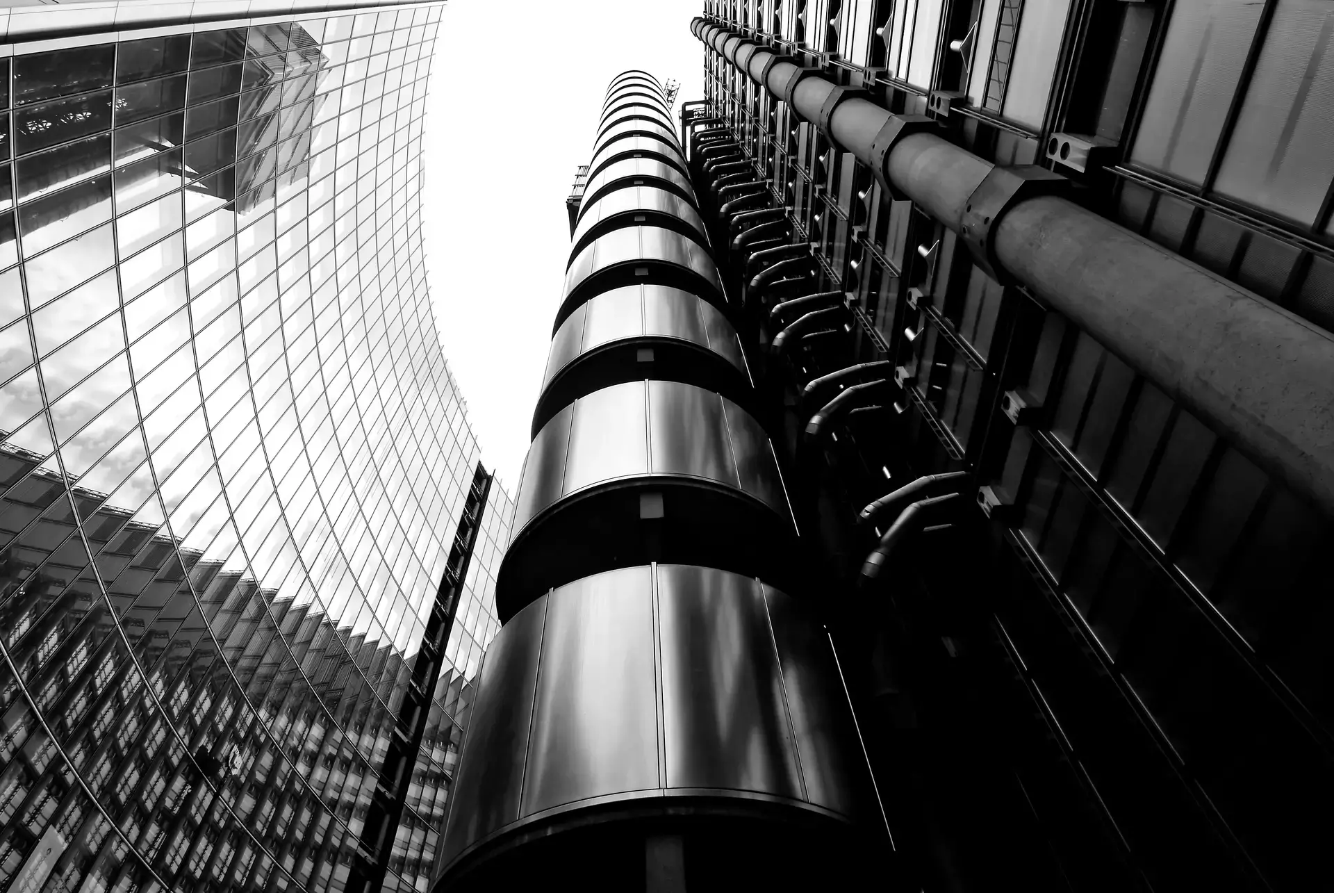 Lloyd's black and white